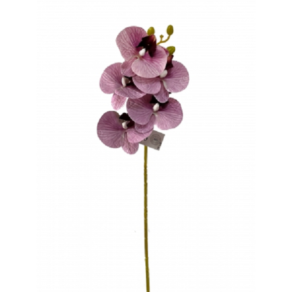 FL ORQUIDEA 03933 3D C/ 5 FLORES MEDIA A67CM