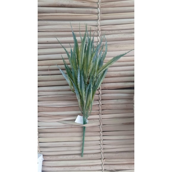 FOLHAGEM PEQ DE BABOSA /ALOE VERA PO BRANCO 5G A40CM