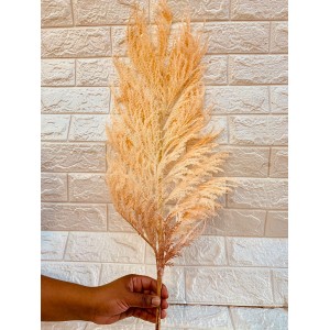 FL HASTE CAPIM DOS PAMPAS NI0006 A115CM