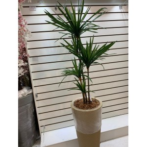 FL ARVORE 63826 YUCCA FINA SILICONADA A135CM