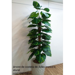 ARVORE 1000-160A jIBOIA A170CM