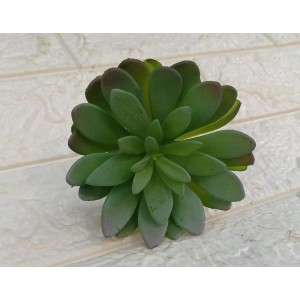 FL SUCULENTA WHY-84 FLOR A12CM