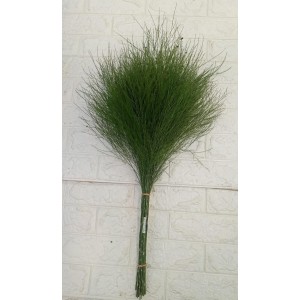 FL MACO AN10 DE ASPARGO NATURAL VERDE C/ BOLINHAS A80XL45CM