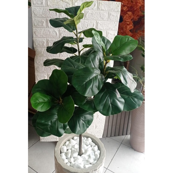 ARVORE 0371-49 FICUS LYRATA A130CM