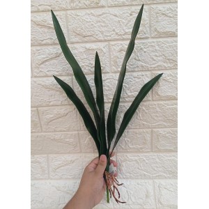 FL FOLHA ORQUIDEA 214-48 51CM COMPRIDA