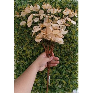 EUCALIPTO W528-01CR 5G A47CM