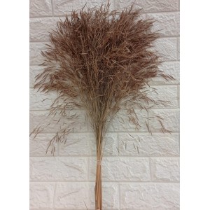 FL HASTE DE CAPIM CHORAO A95XL18CM