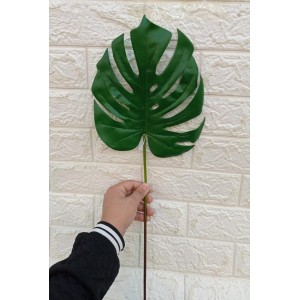 FL HASTE 0863-107 COSTELA DE ADAO A60CM