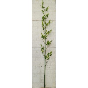 FL HASTE 61954 DE BAMBU ESTILO NATURAL APROX 2.00CM