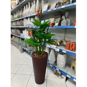 ARVORE COD1516 ESTRELICIA C/3 HASTES A112CM