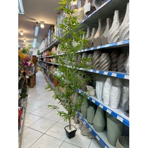 ARVORE Z270 HASTE BAMBU APROX 3,000 METROS