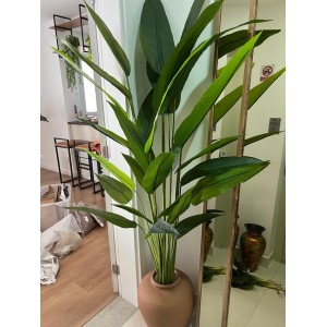 ARVORE 0062-14 FOLHAS ESTRELICIA C/6 HASTES  A170CM