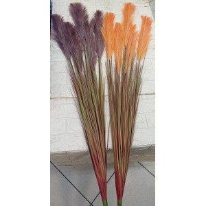 HASTE 10763 DE PAMPAS A136CM