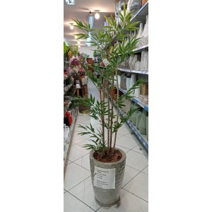 FL ARVORE LD0138 DE BAMBU C/5 HASTE A150CM