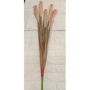 FL HASTE 10763-1 PAMPAS A136CM