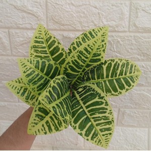 FL BUQUE 62784 DE FOLHAS RAJADA A33CM