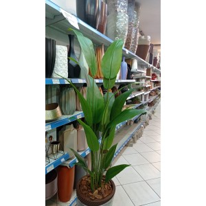 ARVORE 92246 ESTRELICIA C/6 HASTES A120CM