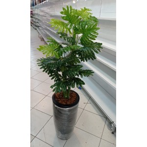 ARVORE 0371-75 DE TAIOBA A130CM