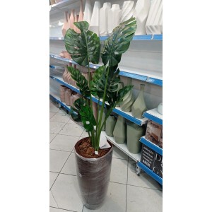 ARVORE COSTELA DE ADAO A130CM