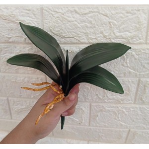 FOLHA DE ORQUIDEA  G 52226/DJ78232 C/ 5F A27CM