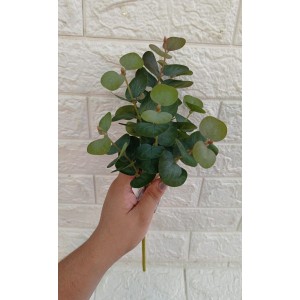 FL BUQUE 64534 DE EUCALIPTO A36CM