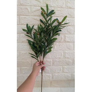 HASTE LD0174 DE FOLHA DE OLIVEIRA A100CM