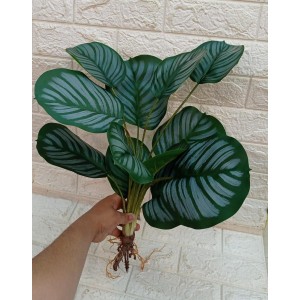 PLANTA DI0329 VERDE C/12 GALHOS A57CM