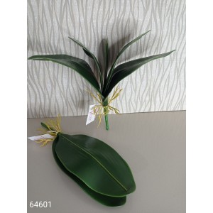 FOLHA DE ORQUIDEA 33299 C/ 5 FOLHAS GRANDES A25CM FOLHA 8.5X19CM
