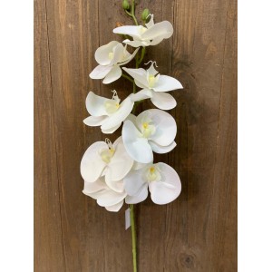 FL ORQUIDEA BRANCA SILICONE RH-20427 99CM
