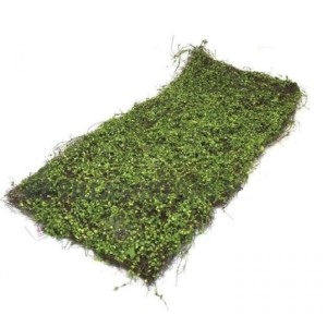 TAPETE AR0016 GRAMA ESTILO REALISTA DE FIAPOS A43XL90CM