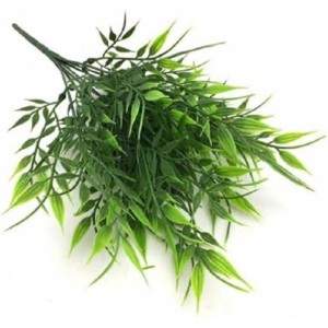 FL CAPIM BG307030/SY07030 BAMBU 7G A35XL12CM