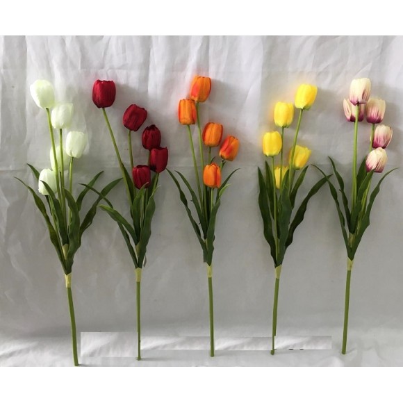 FL HASTE TULIPA COLORIDA 5F 80CM RH2112