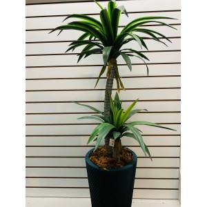 ARVORE 63829 DRACENA PAU D'AGUA SILICONE 134 CM C/2