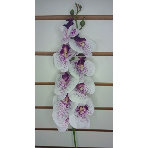 FL ORQUIDEA 3D 64207RXC C/9 FLORES BRANCA C/ PINTINHAS ROXAS A107CM